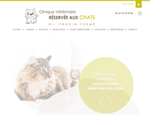 Tablet Screenshot of cliniquepourchatsvincennes.com